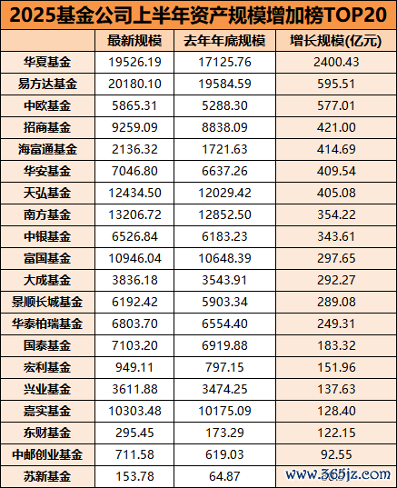 数据起头：wind 统计区间：2024.12.31—2025年6月30日 剔除ETF辘集基金市值